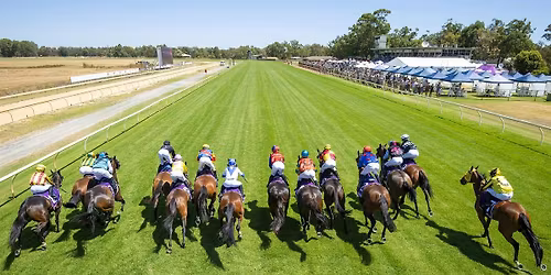 New Years Eve Raceday