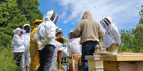 Workshop - Hive Inspection