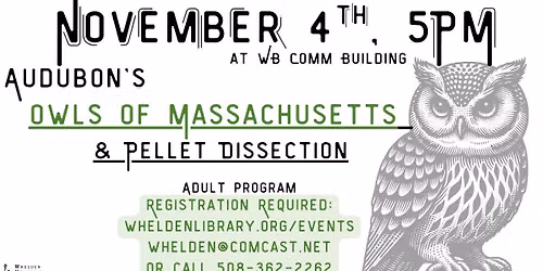Owls of Massachusetts and Pellet Dissection