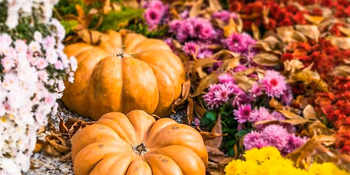 Fall Floral Design Class