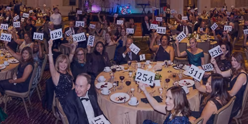 2025 Annual Gala 'Moving Forward Together'