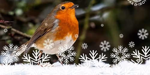 CHRISTMAS \u2013 WINTER BIRD WALK