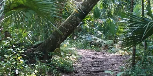 Morning Hike - Jay B. Starkey Wilderness Park - 3.8 mile hike\/ramble