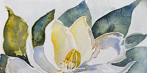 Watercolor Magnolia (Reserve Only)