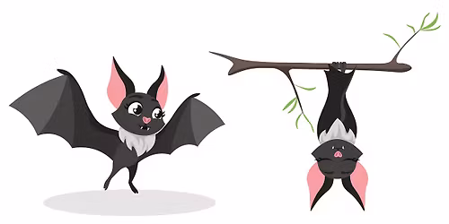 Little Kids, Big World: Bats