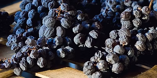 Raisins Into Gold: Amarone