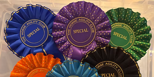 Intelligent Agility for You and Your Horse