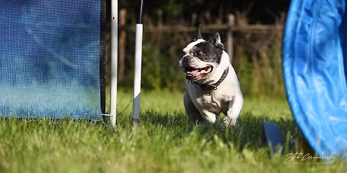 PLNO V\u00edkendov\u00e1 intenzivka hoopers listopad 