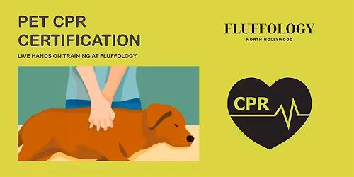 Pet CPR Certification
