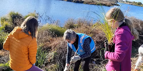 Community planting day