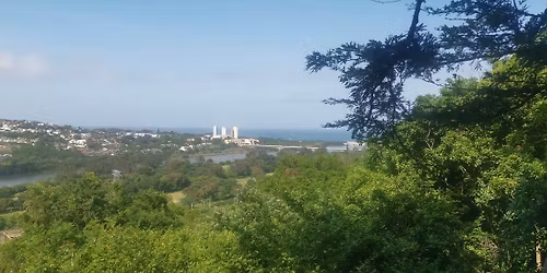 Burman Bush Nature Reserve Beginners Hike