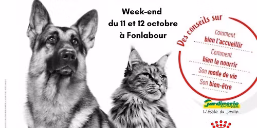 Animation ROYAL CANIN
