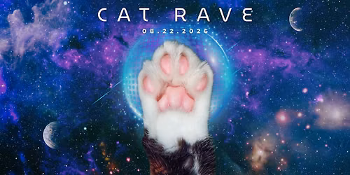 The Cat Rave \ud83d\udc08\ud83d\udc08\ud83d\udc08