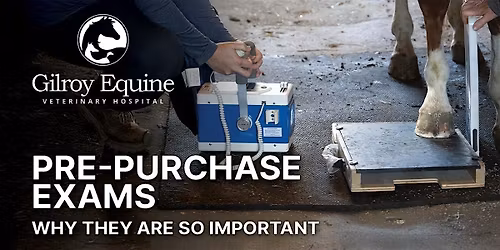 FREE Dinner Event: The Importance of Pre-Purchase Exams