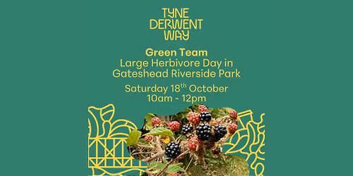 Green Team | Large Herbivore Day in Gateshead Riverside Park