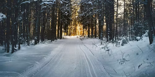 Navigating Loss During the Holidays