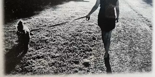 Honouring Dr. Sudeh Cheraghi-Sohi: Tribute Seminar and Celebration