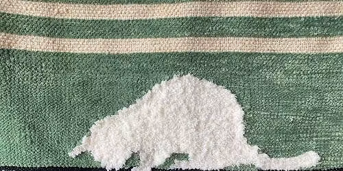 General members meeting