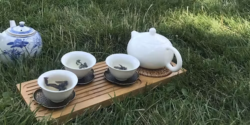 Tea-Tasting Experience in Dalston