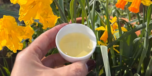 Tea-Tasting Experience in Dalston