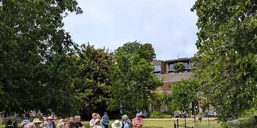 Lewes Tree Festival 2026 - Launch Event