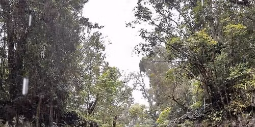 Kama’aina exclusive 1st Saturday 