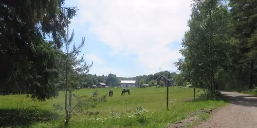 Gullringsk\u00e4rrets naturreservat