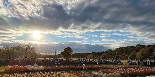 Yoga in the Pumpkin Patch at Sugartown Strawberries Farm