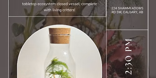 Closed Vessel Terrarium | The Barn Artisan Market