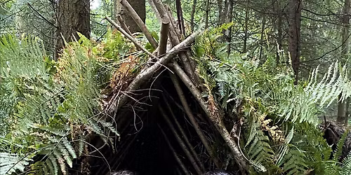 IOL Bushcraft Competency Certificate Training Course.