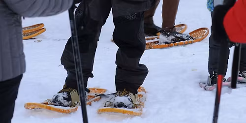 Snowshoe Shuffle