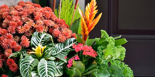 Bring Bullington Beauty Home! Bullington-Inspired Container Garden Workshop