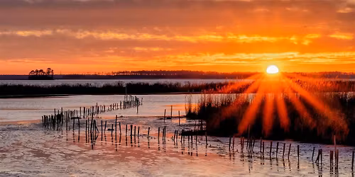 NJ Audubon: Digital Photography Blackwater NWR Weekend Field Trip