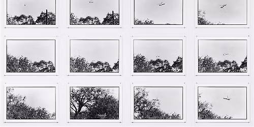 Zoe Leonard: Henry Wolf Chair in Photography Artist Talk