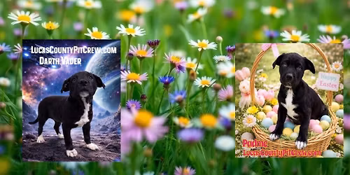 SIDELINES DONATION EVENT