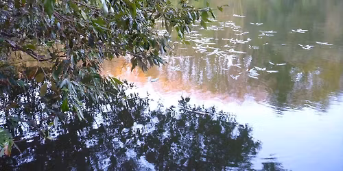 Fur and Feather Match and lunch