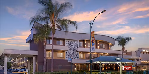 Parking Shelly Belly (18+)