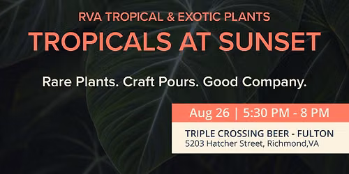Tropicals at Sunset: Rare Plants. Craft Pours. Good Company.