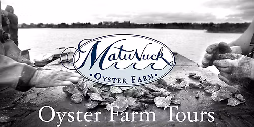 Oyster Farm Tour