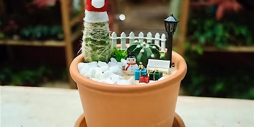 Holiday Cactus Garden Workshop