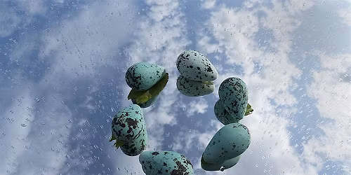 Special SciArt Field Trip: Judy Natal at the new CENTER