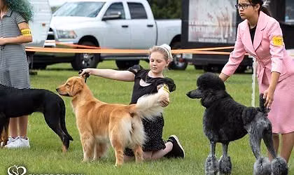 IABCA's 2026 Spokane Valley Sieger Int'l All-Breed & Rare Breed DOG SHOW
