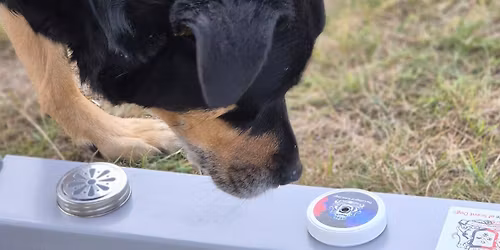 D4 Scent Work Class \u2013 All Levels Welcome!