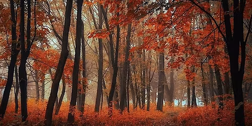 Death Cafe at La Pintoresca Branch Library