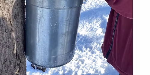 Maple Sugaring Celebration