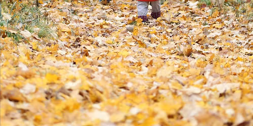 Trail of Treasures at Bruce's Mill