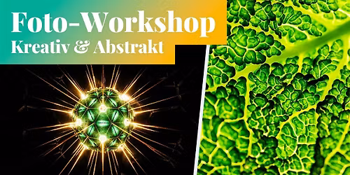 Fotokurs: Kreativ & Abstrakt fotografieren