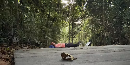 Release and Renew: A Forest Bathing & Reiki Experience