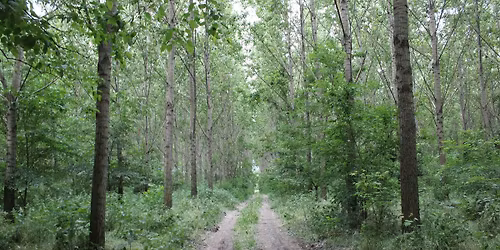 3D streli\u010darsko takmi\u010denje\/\u00edj\u00e1szverseny