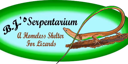 Knoxville Reptile Expo 